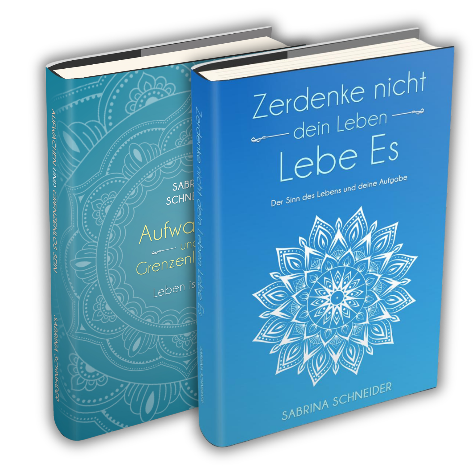 Sachbücher, Sabrina Schneider, Zerdenke nicht dein Leben, Aufwachen und Grenzenlos Sein